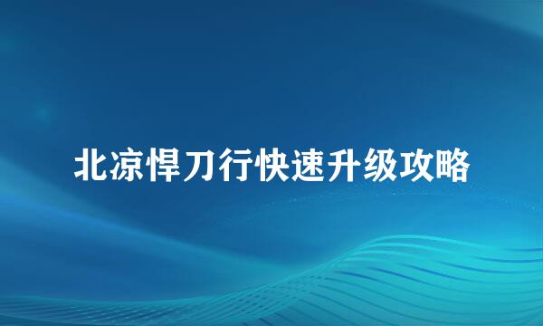 北凉悍刀行快速升级攻略