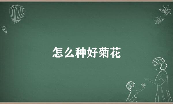 怎么种好菊花