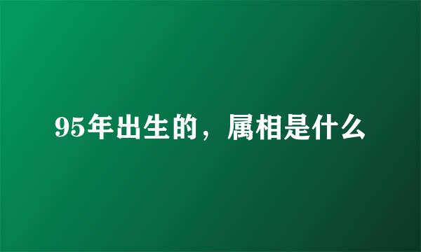 95年出生的，属相是什么