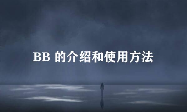 BB 的介绍和使用方法