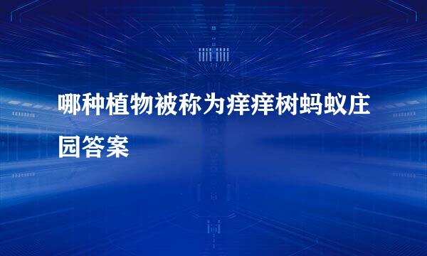 哪种植物被称为痒痒树蚂蚁庄园答案