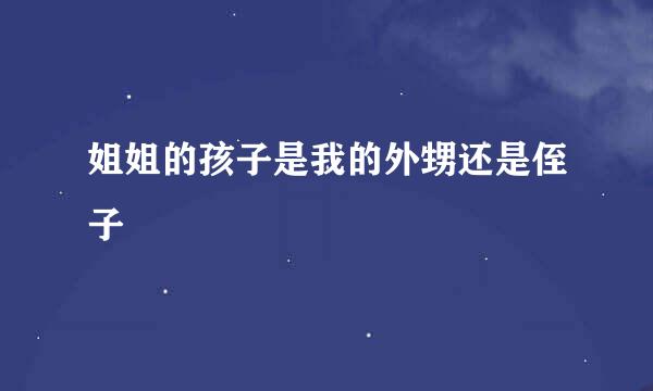 姐姐的孩子是我的外甥还是侄子