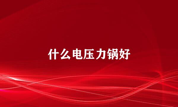 什么电压力锅好