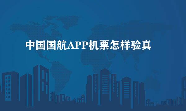 中国国航APP机票怎样验真
