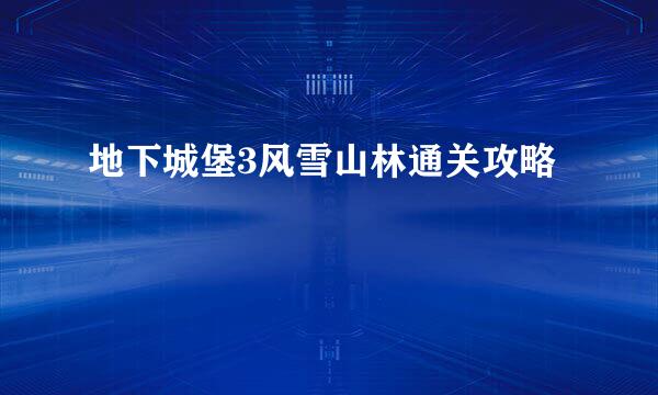 地下城堡3风雪山林通关攻略