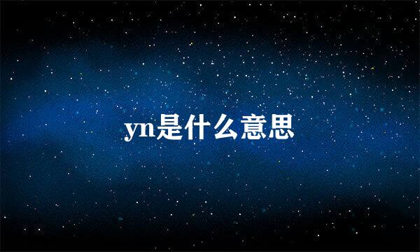 yn是什么意思