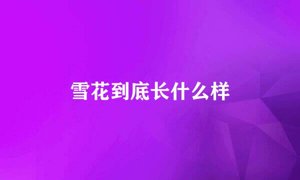 雪花到底长什么样