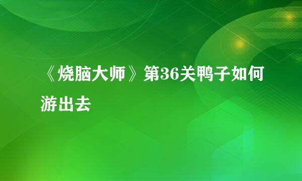 《烧脑大师》第36关鸭子如何游出去