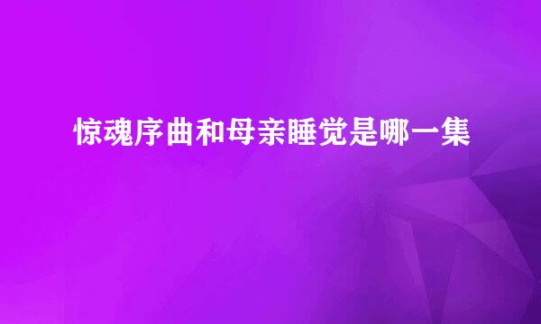 惊魂序曲和母亲睡觉是哪一集