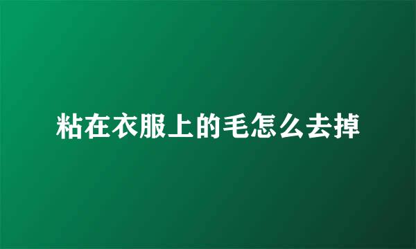 粘在衣服上的毛怎么去掉
