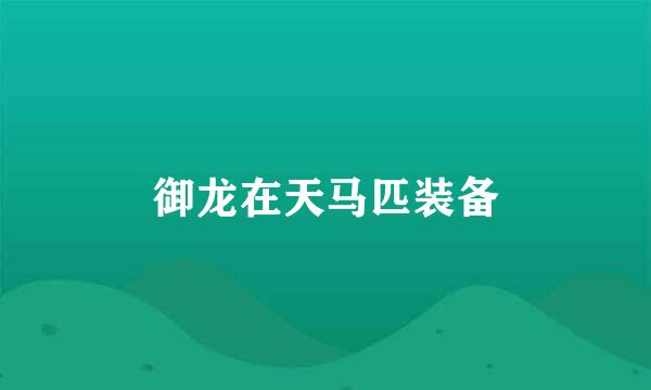 御龙在天马匹装备