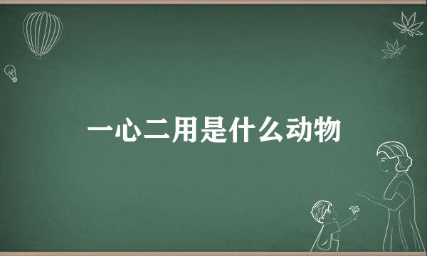 一心二用是什么动物