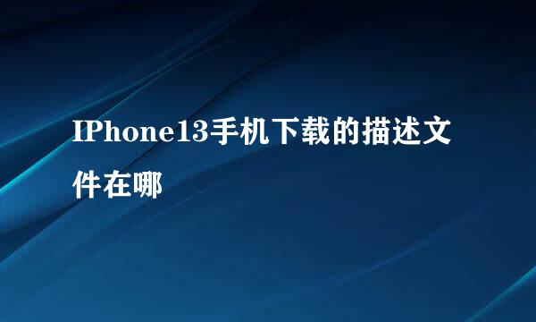 IPhone13手机下载的描述文件在哪