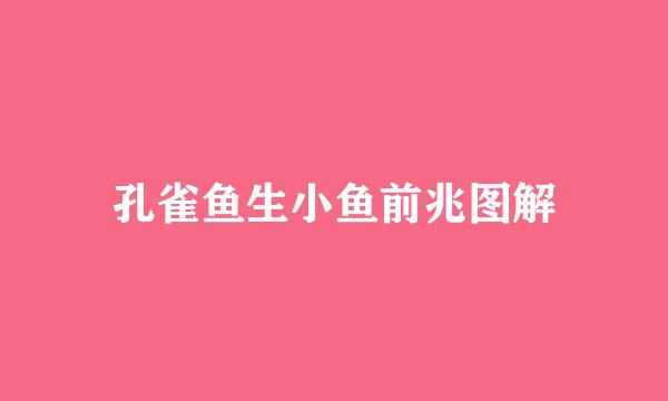 孔雀鱼生小鱼前兆图解