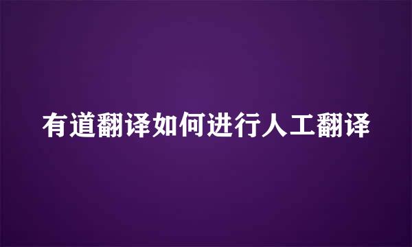 有道翻译如何进行人工翻译