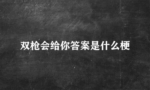 双枪会给你答案是什么梗