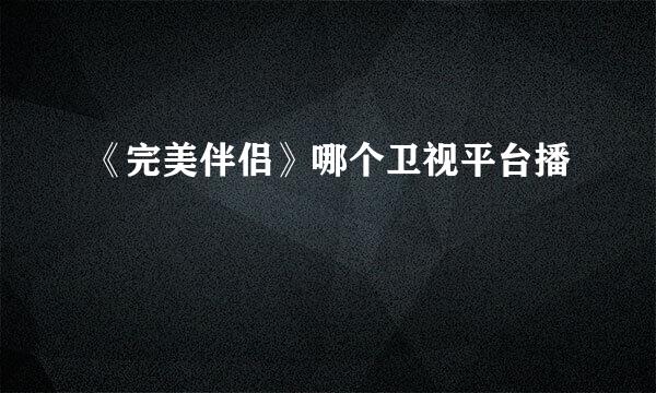 《完美伴侣》哪个卫视平台播
