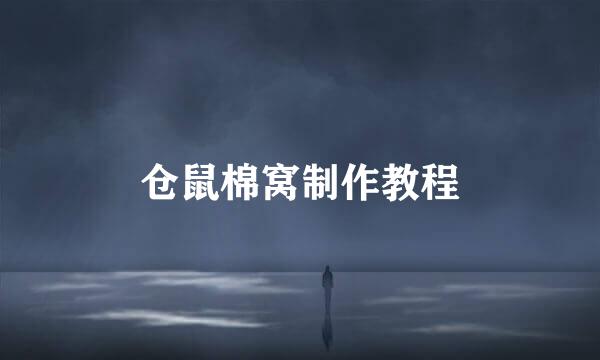 仓鼠棉窝制作教程