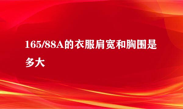 165/88A的衣服肩宽和胸围是多大