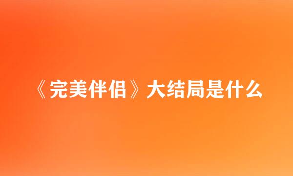 《完美伴侣》大结局是什么