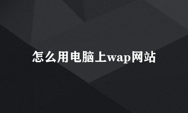 怎么用电脑上wap网站