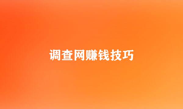 调查网赚钱技巧