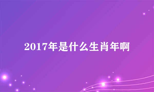 2017年是什么生肖年啊