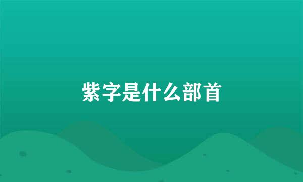 紫字是什么部首