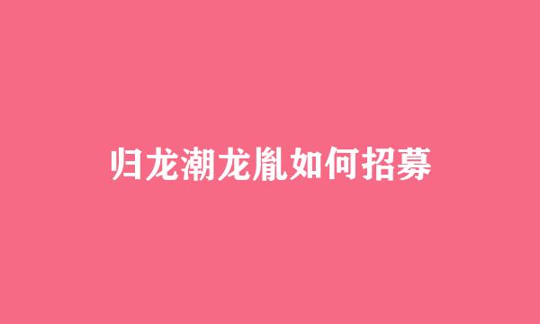 归龙潮龙胤如何招募