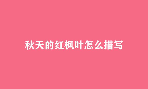 秋天的红枫叶怎么描写