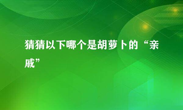 猜猜以下哪个是胡萝卜的“亲戚”