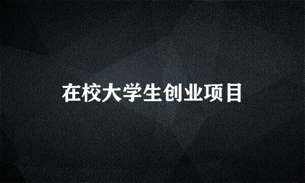 在校大学生创业项目