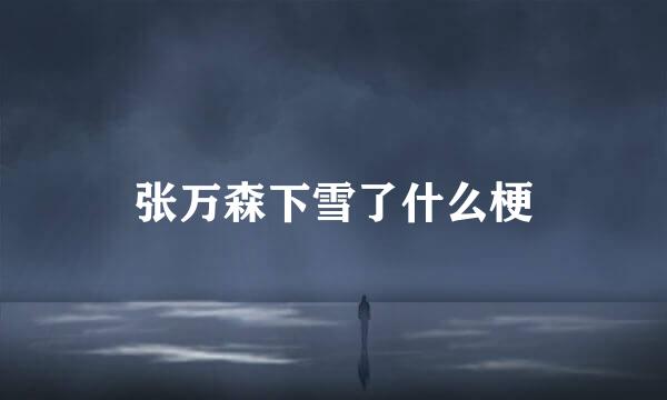 张万森下雪了什么梗