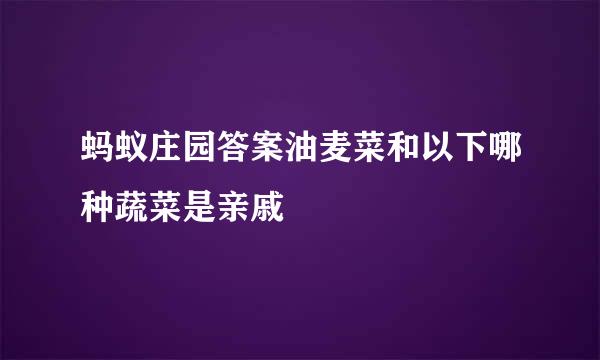 蚂蚁庄园答案油麦菜和以下哪种蔬菜是亲戚