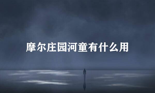 摩尔庄园河童有什么用