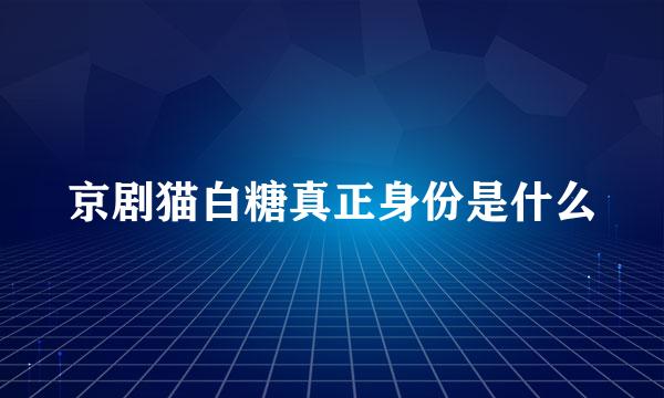 京剧猫白糖真正身份是什么