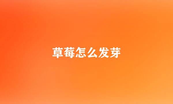 草莓怎么发芽