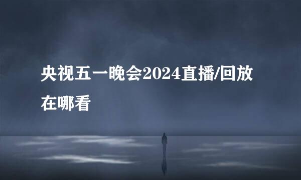 央视五一晚会2024直播/回放在哪看