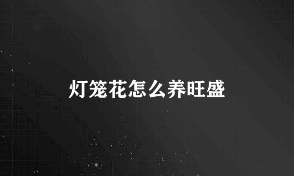 灯笼花怎么养旺盛