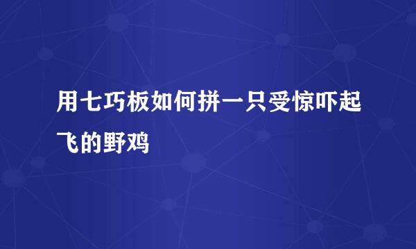 用七巧板如何拼一只受惊吓起飞的野鸡