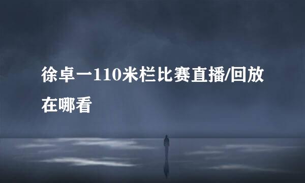 徐卓一110米栏比赛直播/回放在哪看
