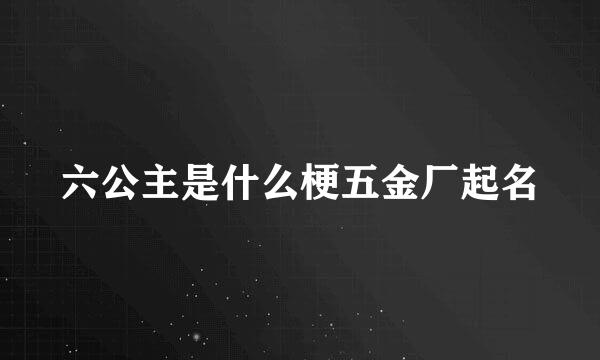 六公主是什么梗五金厂起名
