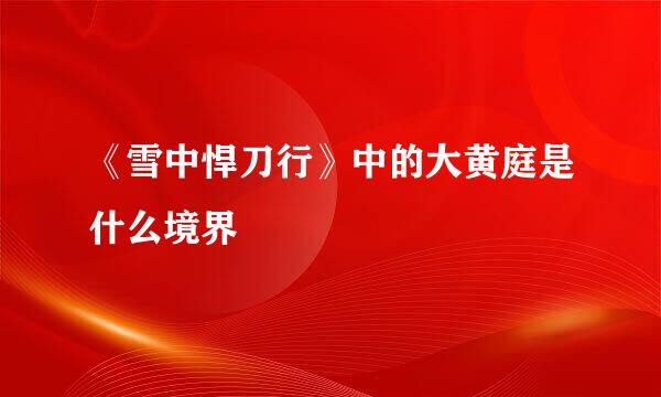《雪中悍刀行》中的大黄庭是什么境界