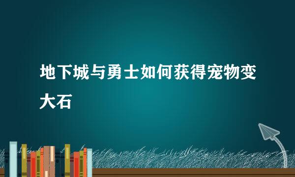 地下城与勇士如何获得宠物变大石