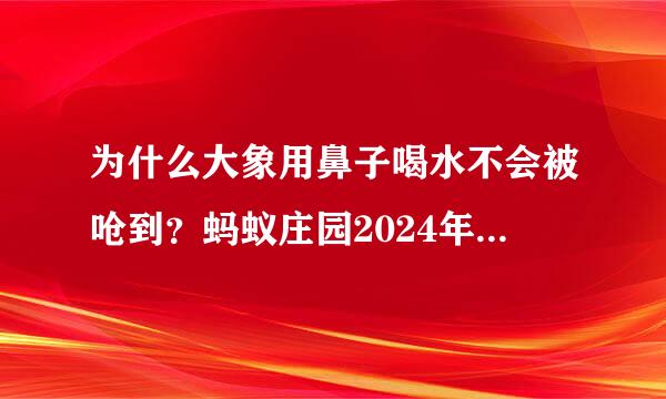为什么大象用鼻子喝水不会被呛到？蚂蚁庄园2024年6月13日问题答案