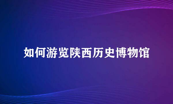 如何游览陕西历史博物馆