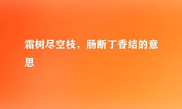 霜树尽空枝，肠断丁香结的意思