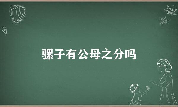 骡子有公母之分吗
