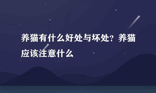 养猫有什么好处与坏处？养猫应该注意什么