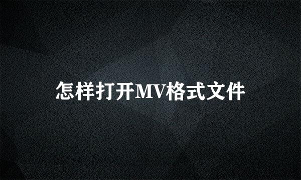 怎样打开MV格式文件
